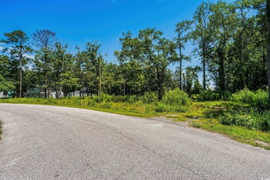 Now Available - Subdividable Lot in Highly Desired Murrells on Wachesaw Plantation Club in South Carolina - for sale on GolfHomes.com, golf home, golf lot