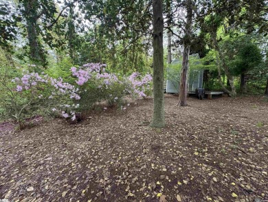 Charming Home; Nearly 1/2 acre Private Lot; Mountain Views; on Pebble Creek Golf Club in South Carolina - for sale on GolfHomes.com, golf home, golf lot