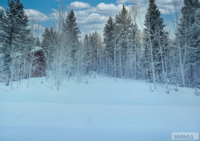 Discover this rare elevated cabin lot in one of the few areas of on Teton Springs Resort and Club in Idaho - for sale on GolfHomes.com, golf home, golf lot