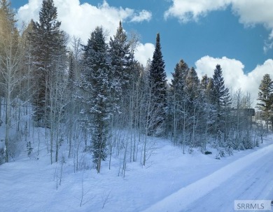 Discover this rare elevated cabin lot in one of the few areas of on Teton Springs Resort and Club in Idaho - for sale on GolfHomes.com, golf home, golf lot