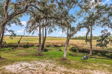 Your Coastal Georgia Home, where every evening ends with a on Sapelo Hammock Golf Club in Georgia - for sale on GolfHomes.com, golf home, golf lot