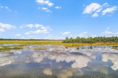 Your Coastal Georgia Home, where every evening ends with a on Sapelo Hammock Golf Club in Georgia - for sale on GolfHomes.com, golf home, golf lot