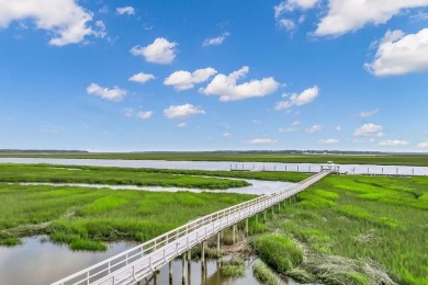 Your Coastal Georgia Home, where every evening ends with a on Sapelo Hammock Golf Club in Georgia - for sale on GolfHomes.com, golf home, golf lot