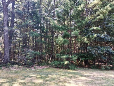 Great opportunity to build your dream home on White Deer Golf on White Deer Country Club in Michigan - for sale on GolfHomes.com, golf home, golf lot
