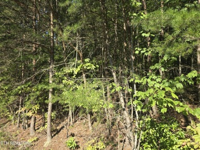MOTIVATED SELLER!!!!  Beautiful lot located in Fairfield Glade on Heatherhurst Golf Course in Tennessee - for sale on GolfHomes.com, golf home, golf lot