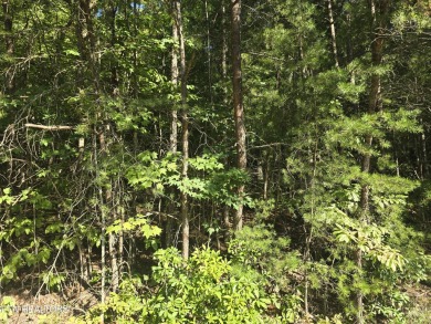 MOTIVATED SELLER!!!!  Beautiful lot located in Fairfield Glade on Heatherhurst Golf Course in Tennessee - for sale on GolfHomes.com, golf home, golf lot