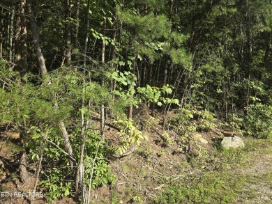 MOTIVATED SELLER!!!!  Beautiful lot located in Fairfield Glade on Heatherhurst Golf Course in Tennessee - for sale on GolfHomes.com, golf home, golf lot
