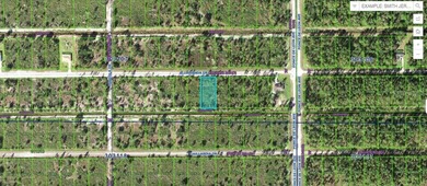 This 0.50-acre vacant residential lot at 411 Allamanda Drive on Indian Lake Estates Golf and Country Club in Florida - for sale on GolfHomes.com, golf home, golf lot