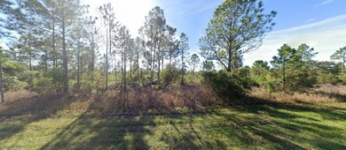 This 0.50-acre vacant residential lot at 411 Allamanda Drive on Indian Lake Estates Golf and Country Club in Florida - for sale on GolfHomes.com, golf home, golf lot