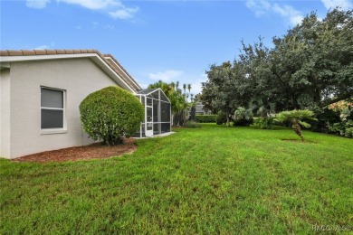 HONEY, STOP THE CAR! Fantastic Value for a 3 BR, 2 BA on Skyview At Terra Vista Golf and Country Club in Florida - for sale on GolfHomes.com, golf home, golf lot