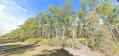 This 0.50-acre vacant residential lot on Belmonte Drive, Florida on Indian Lake Estates Golf and Country Club in Florida - for sale on GolfHomes.com, golf home, golf lot
