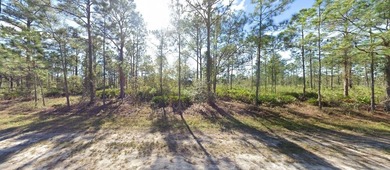 This 0.50-acre vacant residential lot at 703 Alba Drive on Indian Lake Estates Golf and Country Club in Florida - for sale on GolfHomes.com, golf home, golf lot