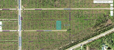 This 0.50-acre vacant residential lot at 306 Calendula Drive on Indian Lake Estates Golf and Country Club in Florida - for sale on GolfHomes.com, golf home, golf lot