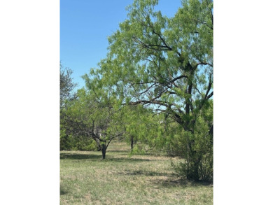 Large level lot in Horseshoe Bay West with great trees and on Ram Rock Golf Course in Texas - for sale on GolfHomes.com, golf home, golf lot