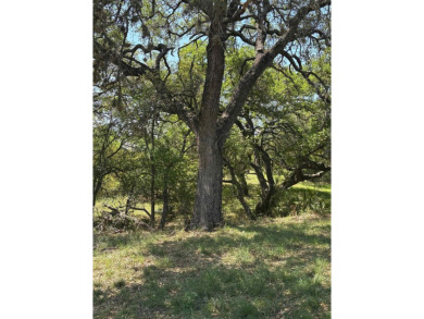 Large level lot in Horseshoe Bay West with great trees and on Ram Rock Golf Course in Texas - for sale on GolfHomes.com, golf home, golf lot