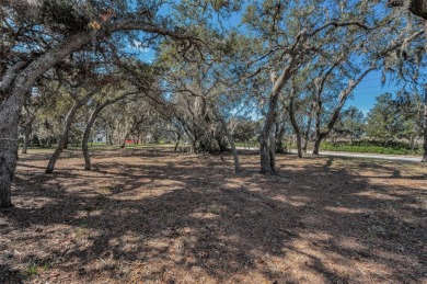 Luxury Living in the Heart of Champions Club - Build Your Dream on Fox Hollow Golf Club in Florida - for sale on GolfHomes.com, golf home, golf lot