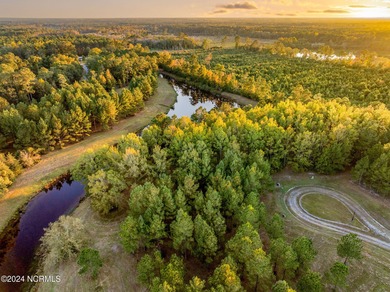 This large 0.65 acre wooded estate homesite is located in ''The on River Landing Golf Course in North Carolina - for sale on GolfHomes.com, golf home, golf lot