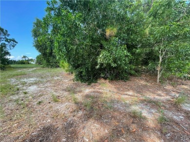 Welcome to Cape Coral FL! Discover the perfect canvas for your on Burnt Store Golf Club in Florida - for sale on GolfHomes.com, golf home, golf lot