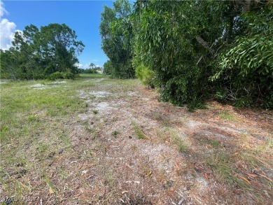 Welcome to Cape Coral FL! Discover the perfect canvas for your on Burnt Store Golf Club in Florida - for sale on GolfHomes.com, golf home, golf lot