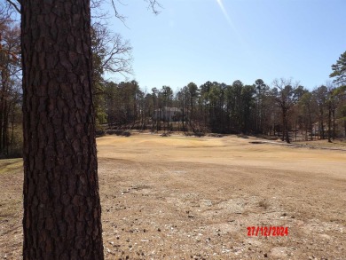 SPACIOUS 3 BEDROOM, 2.5 BATH GOLF FRONT HOME ON 12TH HOLE OF on Coronado Golf Course in Arkansas - for sale on GolfHomes.com, golf home, golf lot