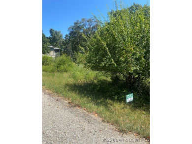 Prime Development Opportunity on The Cove Golf Course! Situated on Seasons Ridge At Four Seasons in Missouri - for sale on GolfHomes.com, golf home, golf lot