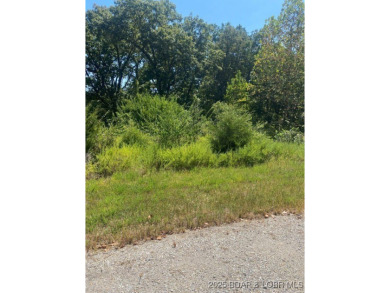 Prime Development Opportunity on The Cove Golf Course! Situated on Seasons Ridge At Four Seasons in Missouri - for sale on GolfHomes.com, golf home, golf lot
