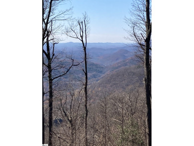 Nestled in the mountains just minutes from Greenville, SC, this on The Cliffs Valley in North Carolina - for sale on GolfHomes.com, golf home, golf lot