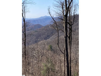 Nestled in the mountains just minutes from Greenville, SC, this on The Cliffs Valley in North Carolina - for sale on GolfHomes.com, golf home, golf lot