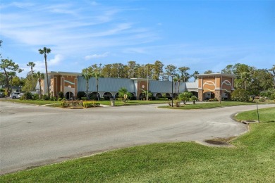 This stunning 55+ home in the Summertree Golf Course Community on Summertree Golf Course in Florida - for sale on GolfHomes.com, golf home, golf lot