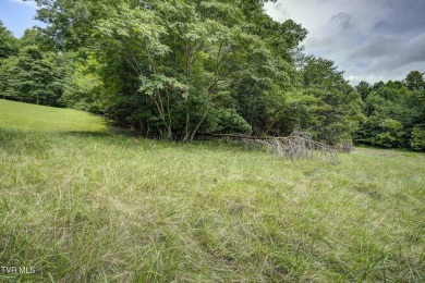 Welcome to TBD Golf Course Road in beautiful Unicoi! This on Buffalo Valley Golf Course in Tennessee - for sale on GolfHomes.com, golf home, golf lot