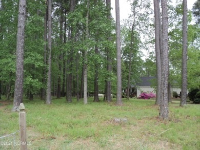 Beautiful , wooded homesite in the  great long time established on Washington Yacht and Country Club in North Carolina - for sale on GolfHomes.com, golf home, golf lot