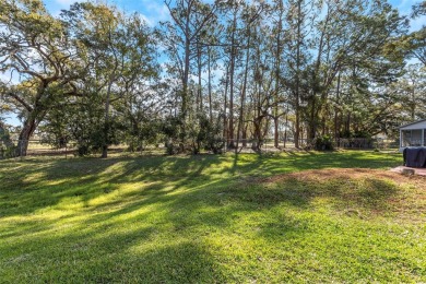 Embrace the Ultimate Florida Lifestyle! Bask in the sunshine on Seven Springs Golf and Country Club in Florida - for sale on GolfHomes.com, golf home, golf lot