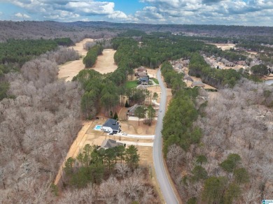 Nestled in the heart of the prestigious Ballantrae Golf on Ballantrae Golf Club in Alabama - for sale on GolfHomes.com, golf home, golf lot