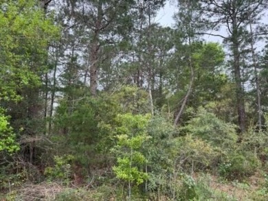 This lot is a must see! Located in desirable Holley By The Sea on The Club At Hidden Creek in Florida - for sale on GolfHomes.com, golf home, golf lot