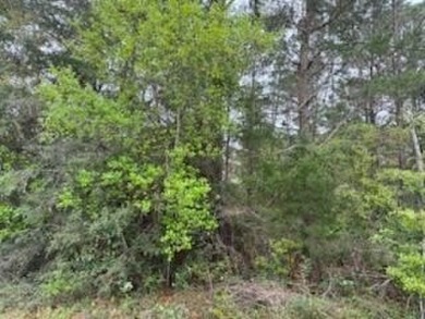 This lot is a must see! Located in desirable Holley By The Sea on The Club At Hidden Creek in Florida - for sale on GolfHomes.com, golf home, golf lot