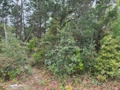 This lot is a must see! Located in desirable Holley By The Sea on The Club At Hidden Creek in Florida - for sale on GolfHomes.com, golf home, golf lot