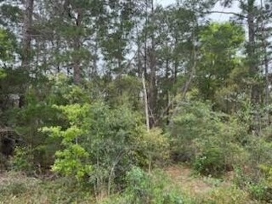 This lot is a must see! Located in desirable Holley By The Sea on The Club At Hidden Creek in Florida - for sale on GolfHomes.com, golf home, golf lot