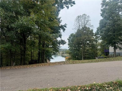 Discover the perfect opportunity to build your dream home on two on Lake Mohawk Golf Club in Ohio - for sale on GolfHomes.com, golf home, golf lot