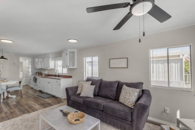 Won't find a more updated furnished home, WITH a golf cart for on Viewpoint Golf Resort in Arizona - for sale on GolfHomes.com, golf home, golf lot
