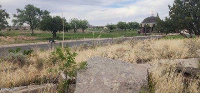 Live where you play - or simply live in a sweet community of on Snowflake Municipal Golf Course in Arizona - for sale on GolfHomes.com, golf home, golf lot