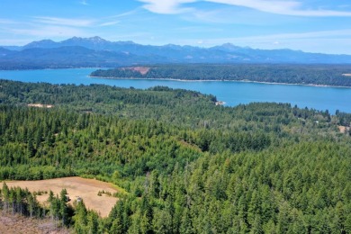 Rare Alderbrook legacy property! Top of the world, unparalleled on Alderbrook Golf and Yacht Club in Washington - for sale on GolfHomes.com, golf home, golf lot
