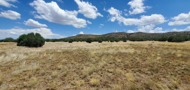 Build Your Dream Home! This ~10.3 acre lot has gorgeous mountain on Talking Rock Golf Club in Arizona - for sale on GolfHomes.com, golf home, golf lot