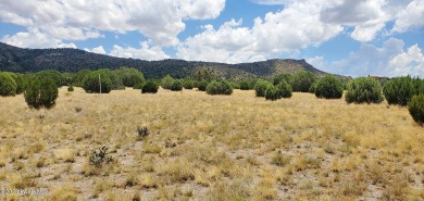 Build Your Dream Home! This ~10.3 acre lot has gorgeous mountain on Talking Rock Golf Club in Arizona - for sale on GolfHomes.com, golf home, golf lot