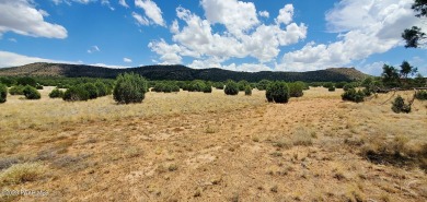 Build Your Dream Home! This ~10.3 acre lot has gorgeous mountain on Talking Rock Golf Club in Arizona - for sale on GolfHomes.com, golf home, golf lot