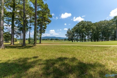 Stunning 4BR, 3.5BA home in desirable Hampton Cove on the 9th on Hampton Cove Golf Course in Alabama - for sale on GolfHomes.com, golf home, golf lot
