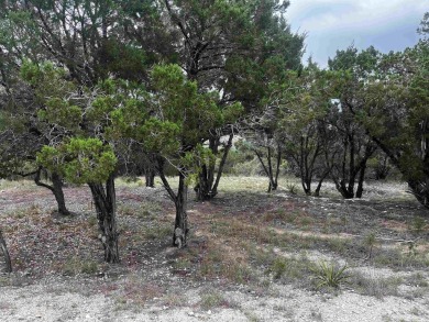 Prime opportunity to build your custom home or weekend getaway on Lago Vista Golf Club in Texas - for sale on GolfHomes.com, golf home, golf lot
