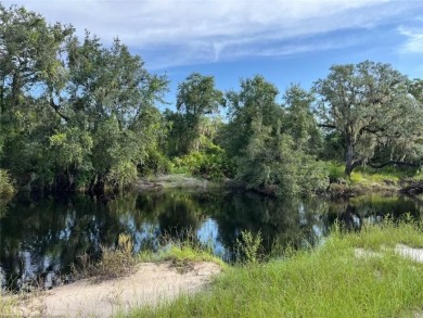 ESCAPE THE HUSTLE AND BUSTLE OF BIG CITY LIVING! THIS BEAUTIFUL on Bluffs Golf Course in Florida - for sale on GolfHomes.com, golf home, golf lot
