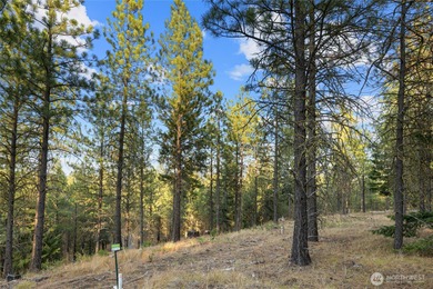 Are you searching for the perfect setting to build your dream on Suncadia Resort in Washington - for sale on GolfHomes.com, golf home, golf lot
