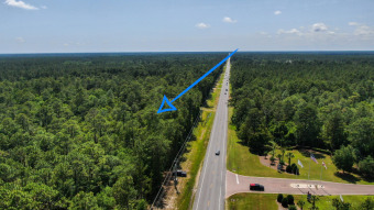 Come check out this wooded 2.35 ACRES on state highway 20 East on Windswept Dunes Golf Club in Florida - for sale on GolfHomes.com, golf home, golf lot