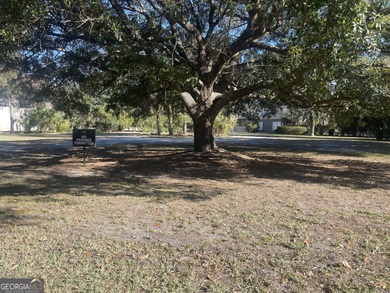 Build your dream home in the highly sought-after gated community on The Club At Osprey Cove in Georgia - for sale on GolfHomes.com, golf home, golf lot